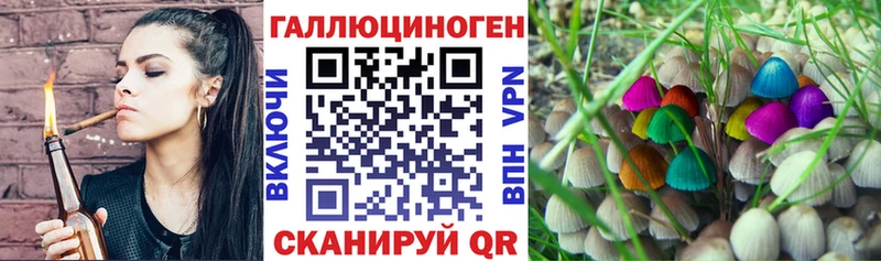 Галлюциногенные грибы Cubensis  как найти закладки  Рубцовск 