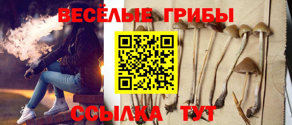 Галлюциногенные грибы мицелий  Псилоцибиновые грибы мицелий  цена наркотик  Рубцовск  Вход с VPN 