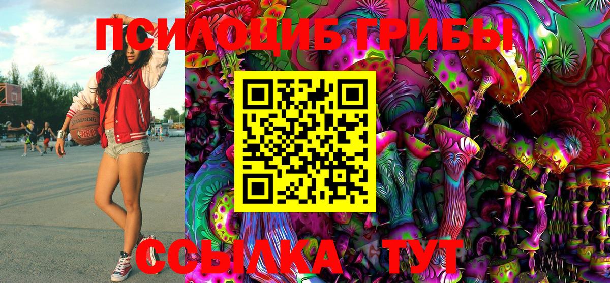 Псилоцибиновые грибы GOLDEN TEACHER Рубцовск